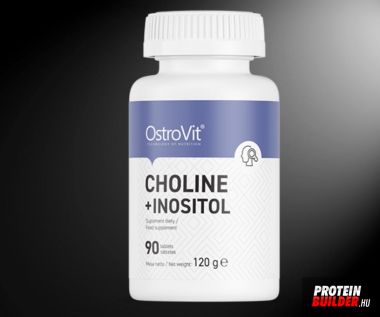 OstroVit Choline&Inositol tab